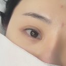 양재역 5번출구 교통섬 | 양재역 속눈썹펌 메럴리브로우 후기, 관리법까지 !