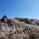 중담1주차장 | 오서산 등산코스 지도♧억새밭코스 산행시간 (홍성 상담마을주차장~정암사~오서전망대~정상, 왕복)