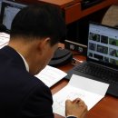 정성스레 이미지