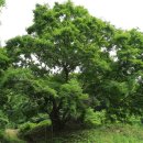 수산리-2 이미지