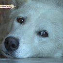 길순농장 티스토리