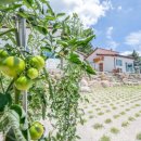 어디에서 왔니 이미지