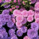 바람언덕 이미지