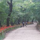 농업회사법인 새유리 이미지