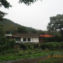 백마농장3 이미지