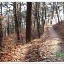 바람고개길 이미지