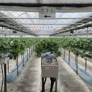 순겸농장 이미지