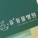 부곡동물병원 이미지
