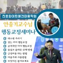 화이트애견