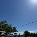 멍숲 | 강화도 멍숲 후기: 맑은 날씨에 반려견과 뛰놀기 딱 좋은 힐링 놀이터