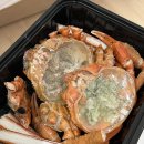 수산중앙로 | [속초맛집] 속초중앙시장먹거리 예스수산 홍게도시락 솔직후기