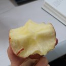 선덕카밧데리 | ~2월 마무리 - 님덜.. 사람을 너무 믿으면 안된다는 걸 다시금 알게 되었다네(ft.다단계당한썰)