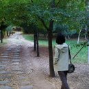 자연의 소리 Ⅱ 이미지