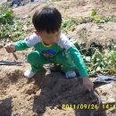 아이뜨리어린이집 이미지