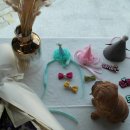 도도스푼 이미지