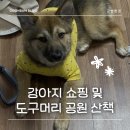 주식회사 펫플래닛 | [진도군밤] 강아지 쇼핑 &amp; 도구머리공원 산책하다