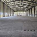 엠티브이5로 이미지