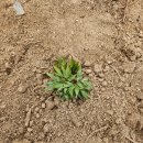 송가네종묘사 이미지