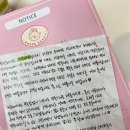 [내돈내산] 집에서 꾸덕한 그릭요거트 만들기! 그릭래빗 유청분리기 대용량 솔직 후기 🐰