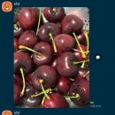 주식회사 영풍 | 진짜 미친 8.5R 무조건 겟! 젭알] 후기로 증명할게요! 스테밀트체리, 스키나품종, 영풍과일, 영풍체리