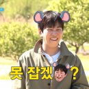 [불판] 쥐를 잡자 쥐를 잡자 찍찍찍🐀 이미지