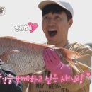 푹 이미지