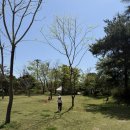 삼원마트 - 동작구 상도로22길 37 | [캠핑] 서산 잔디밭 캠핑장 추천,“심원레저타운캠핑장“ 4홀 후기
