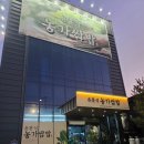 삼백로 | 상주 맛집 윤훈식 농가쌈밥 내돈내산후기