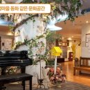 민들레영토 이미지