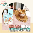 더덴탈 | 우리 고양이 입냄새 제거! 정글 몬스터 캣 덴탈워터 내돈내산 후기