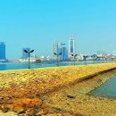 칭다오 Daum카페