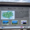 해오름관광펜션 이미지