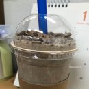 가장맛있는족발기업도시점 이미지