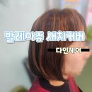 미성화학 | 대구 다인헤어 자연스러운 발레아쥬 새치커버(내돈내산)