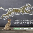 최진석 합기도 무휼관 이미지