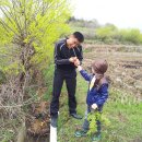 버들피리 이미지