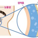 샤인약국 이미지