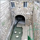 실로암농장 이미지