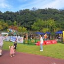 댕댕놀이터 이미지