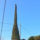 일직점곡로(일직면) 이미지