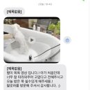 왈로하그루밍 | 부산 당감동 강아지미용실 왈로하그루밍 위생미용 목욕 후기