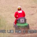 개엄마 이미지