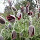 한재공원 이미지