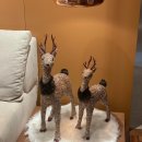 (주)에이치인포메이션 | 강남/청담 산후조리원, 헤리티지 2호점, 산전마사지 후기, SPA DE H(스파드에이치)