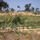 가음농장 이미지