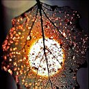 산처럼물처럼 이미지