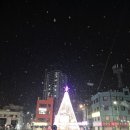 뉴세종모텔