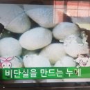 뽑기쉼터 이미지