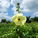 한씨 제각 옆 이미지