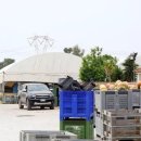 이송농장 이미지